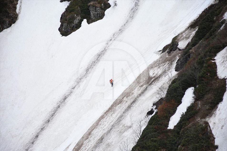AA muhabirini arama çalışmaları sürüyor