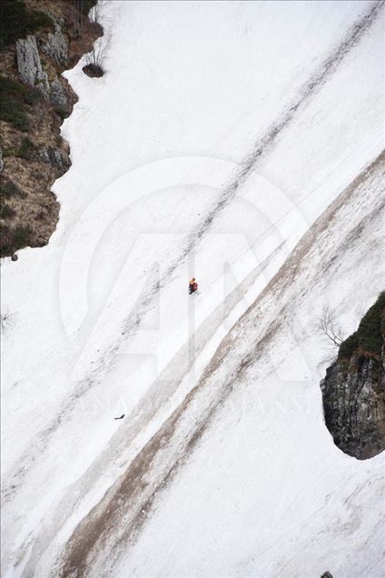 AA muhabirini arama çalışmaları sürüyor