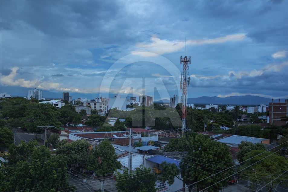 Generación del Zika, Microcefalia