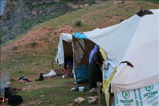 Koçeran cardin berê xwe dan zozanan