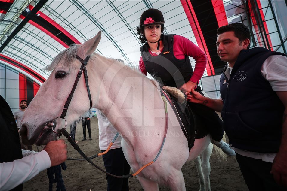 Atlar engellilere terapi oluyor