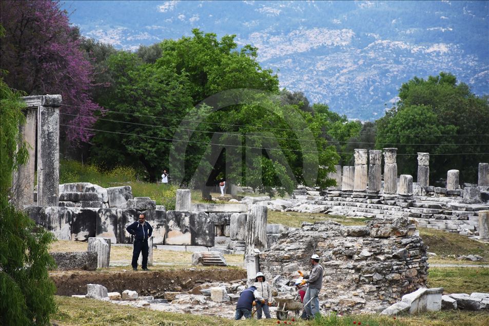 Lagina'nın sütunları ayağa kaldırılıyor
