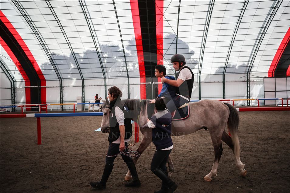Atlar engellilere terapi oluyor