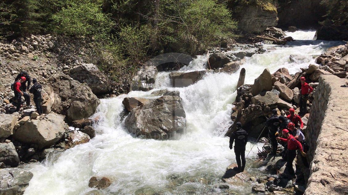 AA muhabirini arama çalışmaları devam ediyor