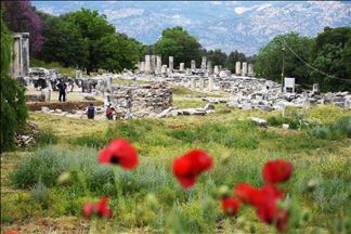 Les colonnes de Lagina sont redressées