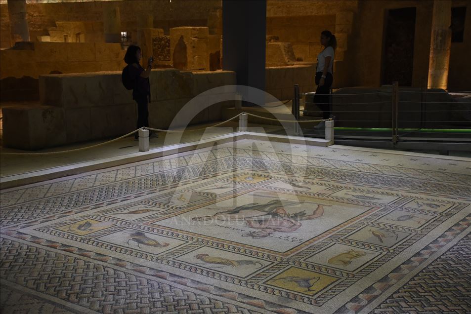 Atık İzle Lütfen saltanat  Zeugma Mozaik Müzesi'nde hedef 1 milyon ziyaretçi