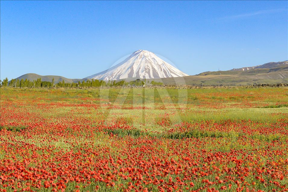 زیباییهای ارتفاعات آغری داغی ترکیه در بهار