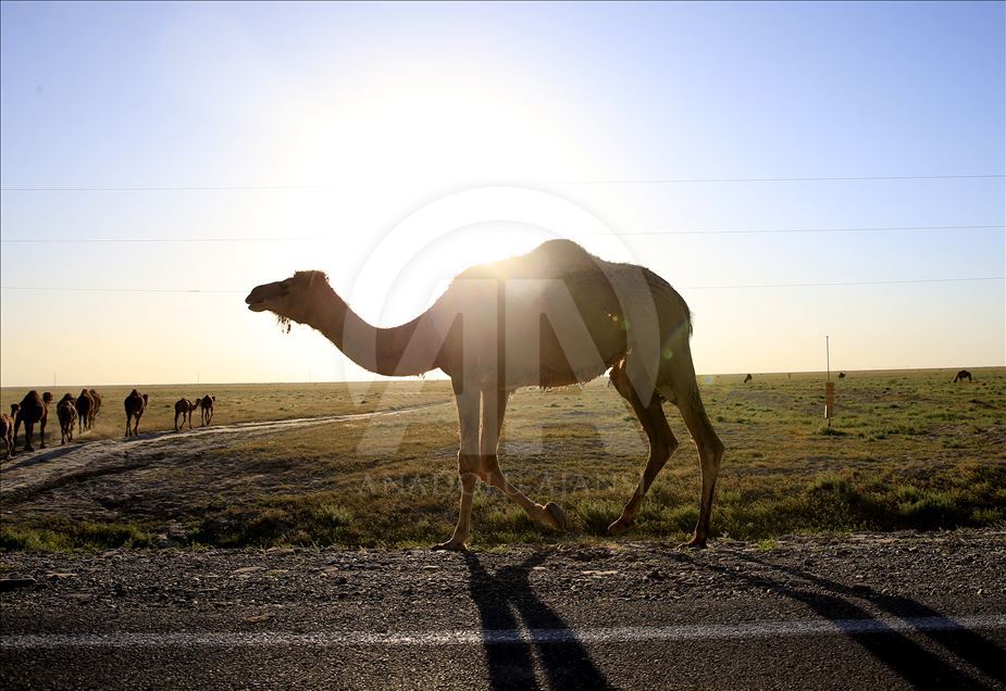 Daily life in Kazakhstan