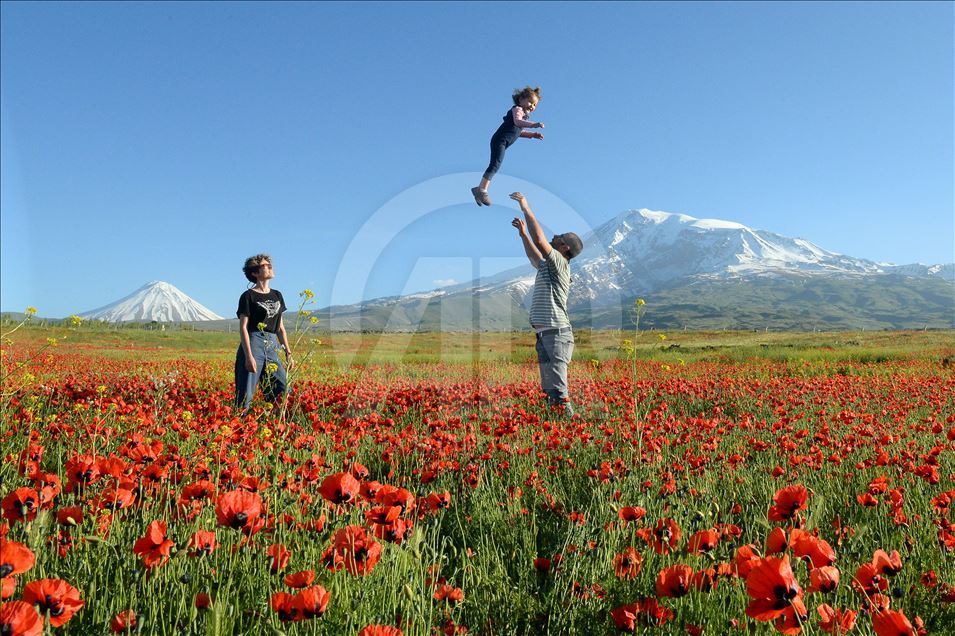 زیباییهای ارتفاعات آغری داغی ترکیه در بهار