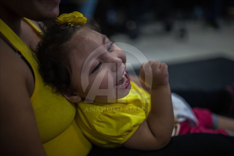 Generation of Zika, Microcephaly