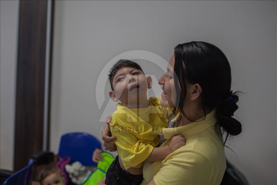 Generation of Zika, Microcephaly