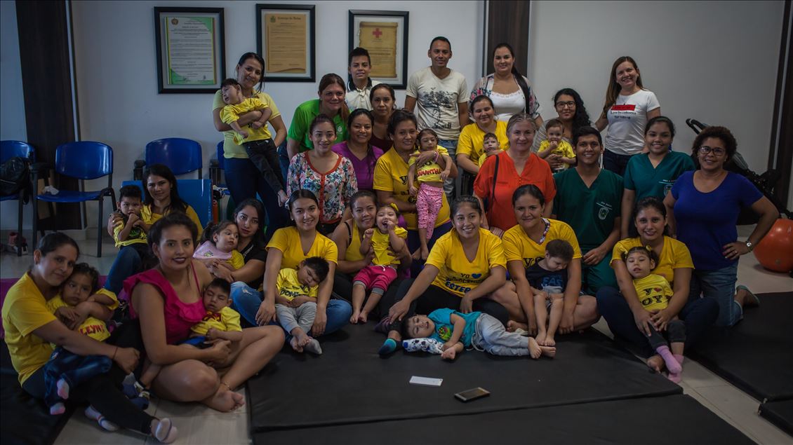 Generation of Zika, Microcephaly