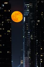 Moonrise in New York City