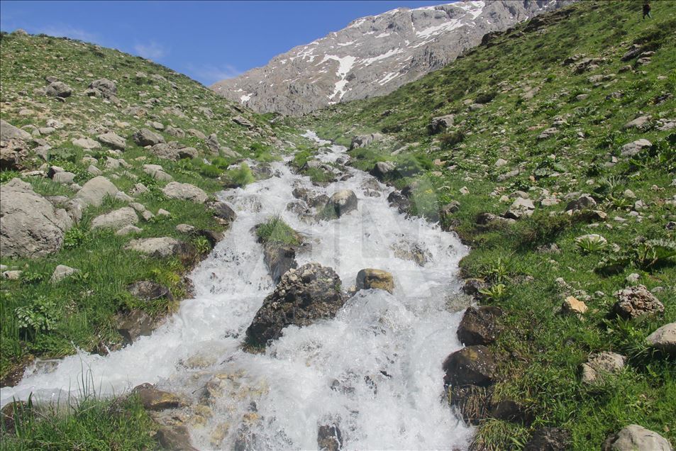 علاقه گردشگران به آبشارهای استان تونجلی ترکیه