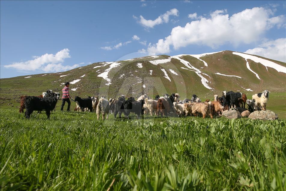 Zirveden doğaya kuş bakışı
