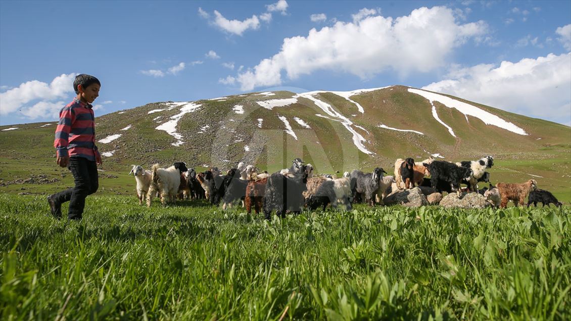 Zirveden doğaya kuş bakışı