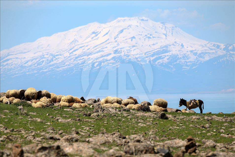 Zirveden doğaya kuş bakışı