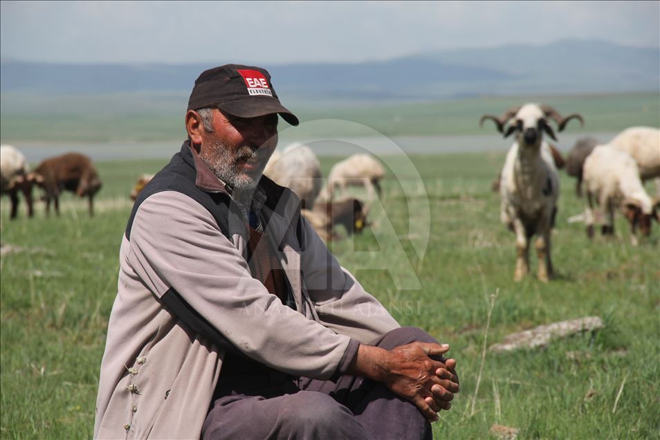 Çobanların ramazanda zorlu mesaisi
