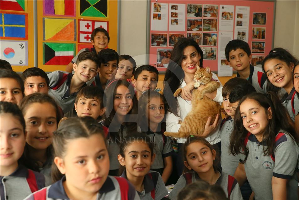 Sad farewell to the classroom cat "Tombi"