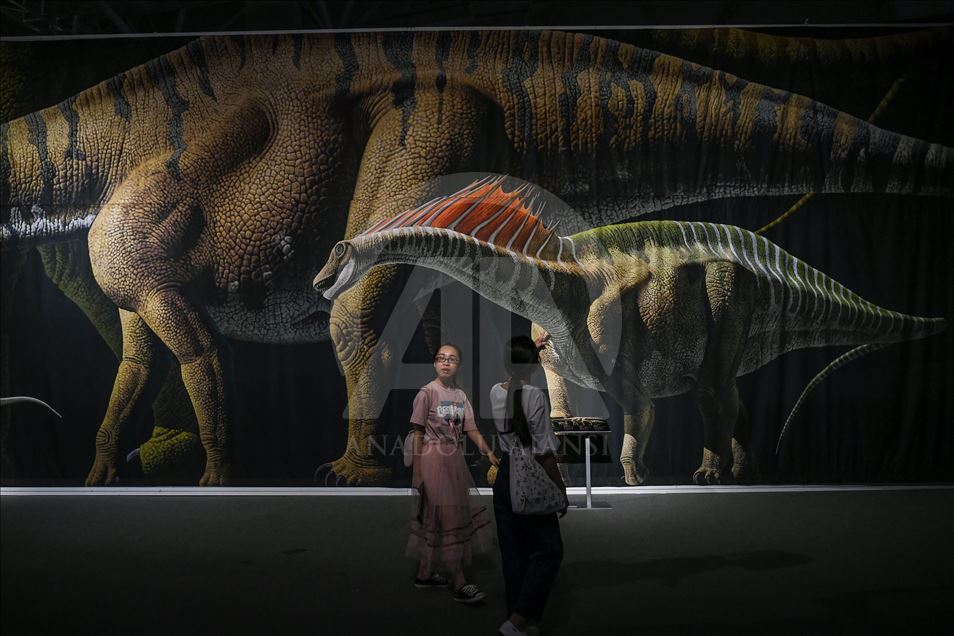 World's Biggest Dinosaur Exhibition In China's Guangzhou