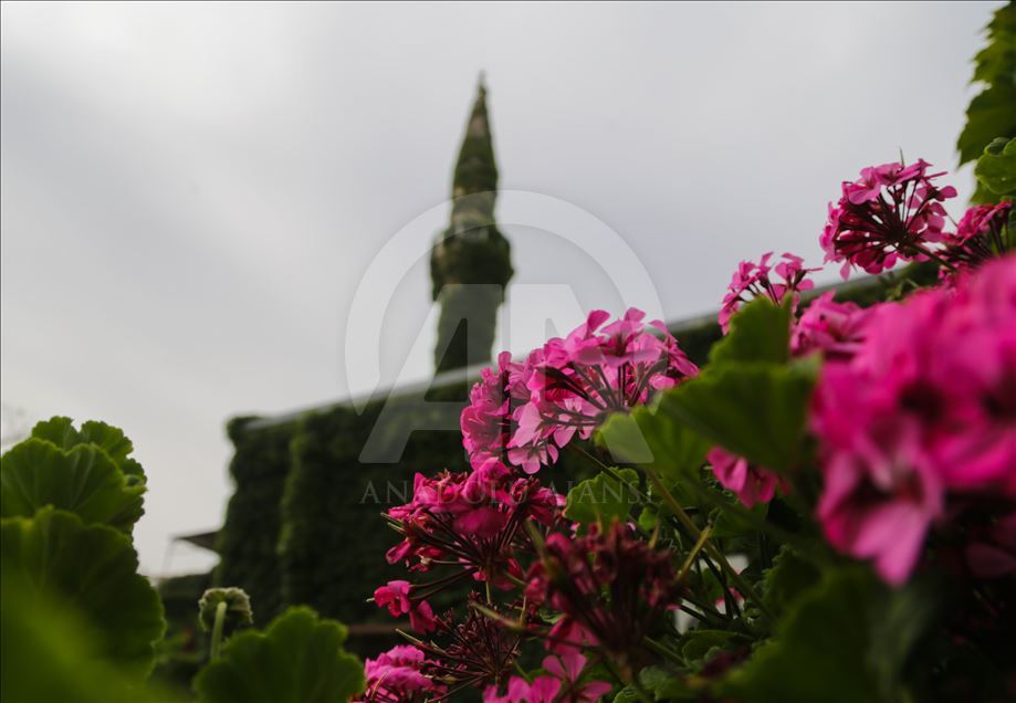 Ramazanda serinliğin adresi: "Yeşil Cami"