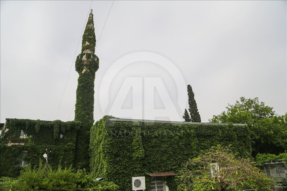 Ramazanda serinliğin adresi: "Yeşil Cami"