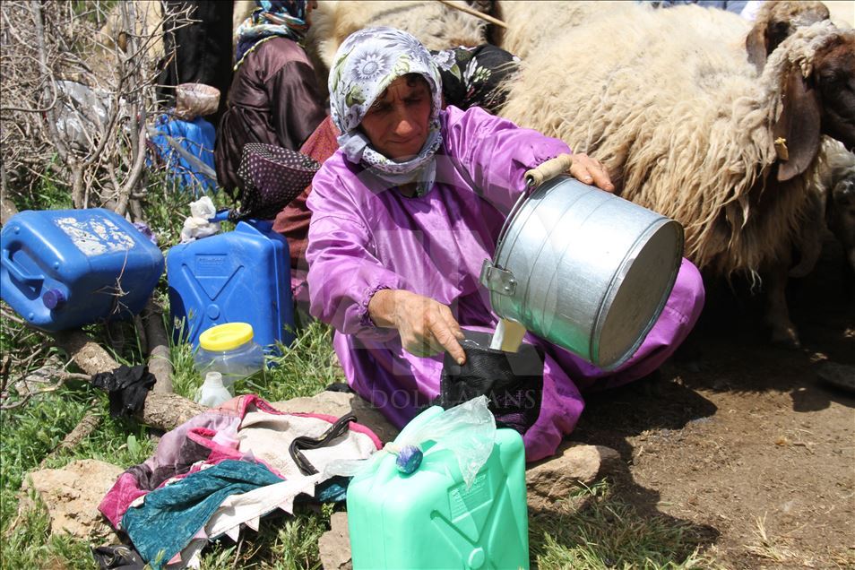 Köyde ev hanımı yaylada berivan
