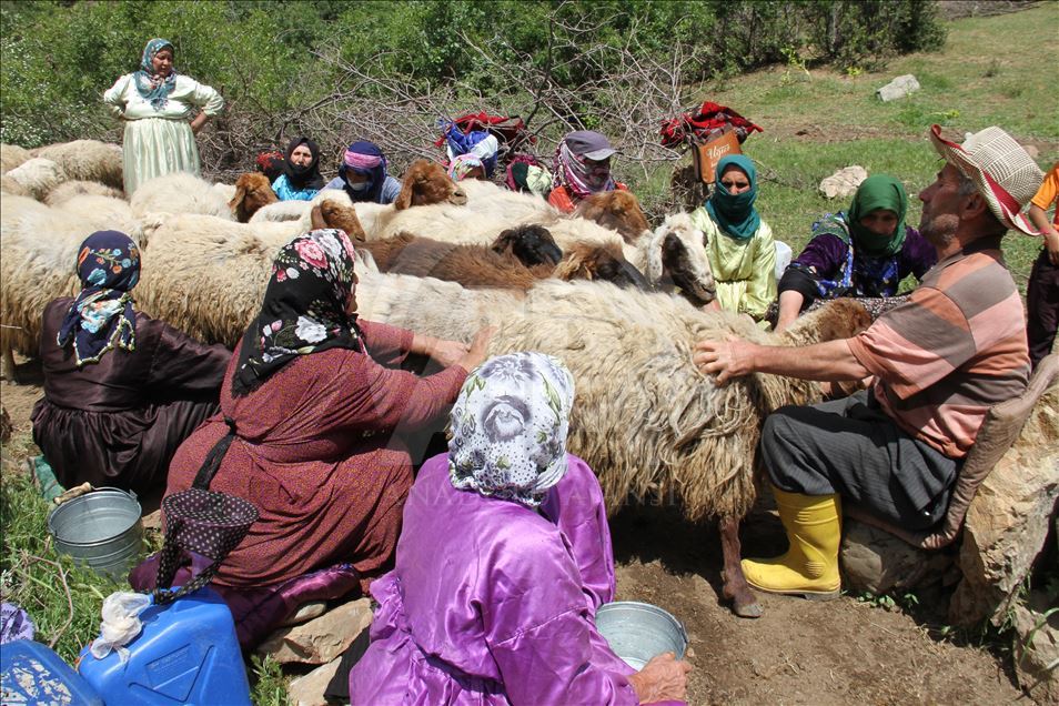 Köyde ev hanımı yaylada berivan

