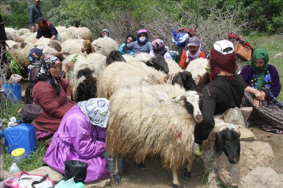Köyde ev hanımı yaylada berivan
