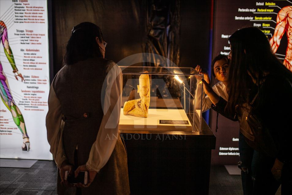 Bodies, una exposición con cuerpos humanos reales