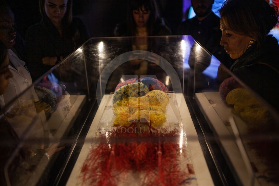 Bodies, una exposición con cuerpos humanos reales