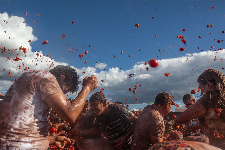 Kolombiya'da "La Tomatina" Festivali