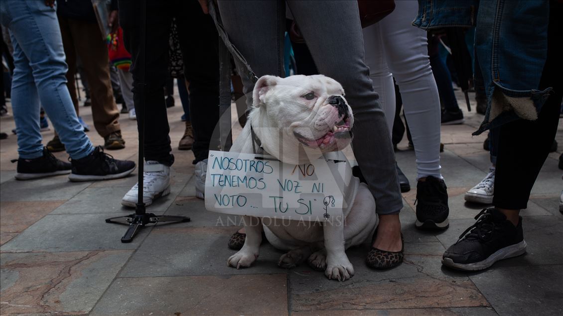 Colombia Protest against the use of Fracking