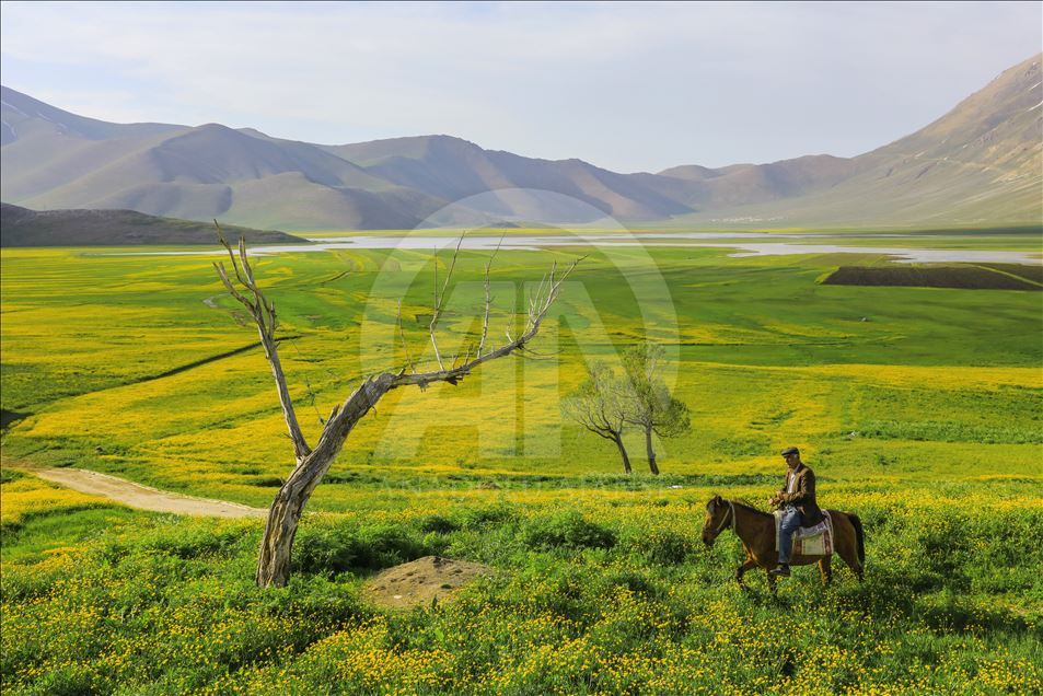 Yayla köylerinde yaz güzelliği