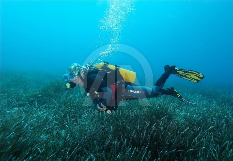 Diving in Turkey's Izmir