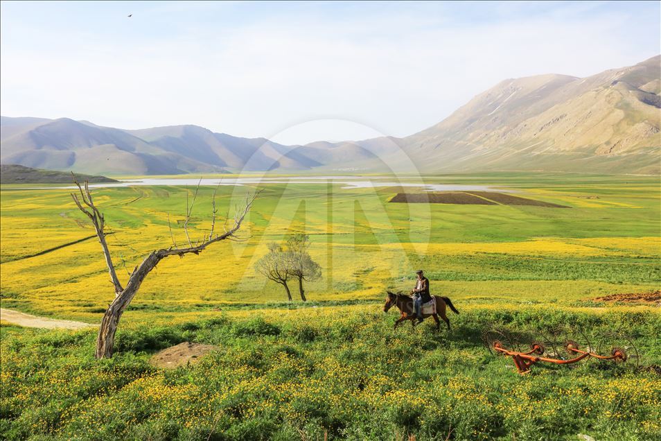 Yayla köylerinde yaz güzelliği
