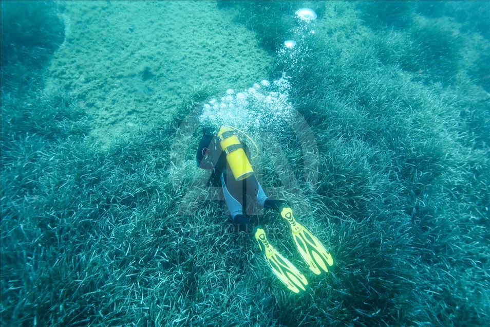 Diving in Turkey's Izmir