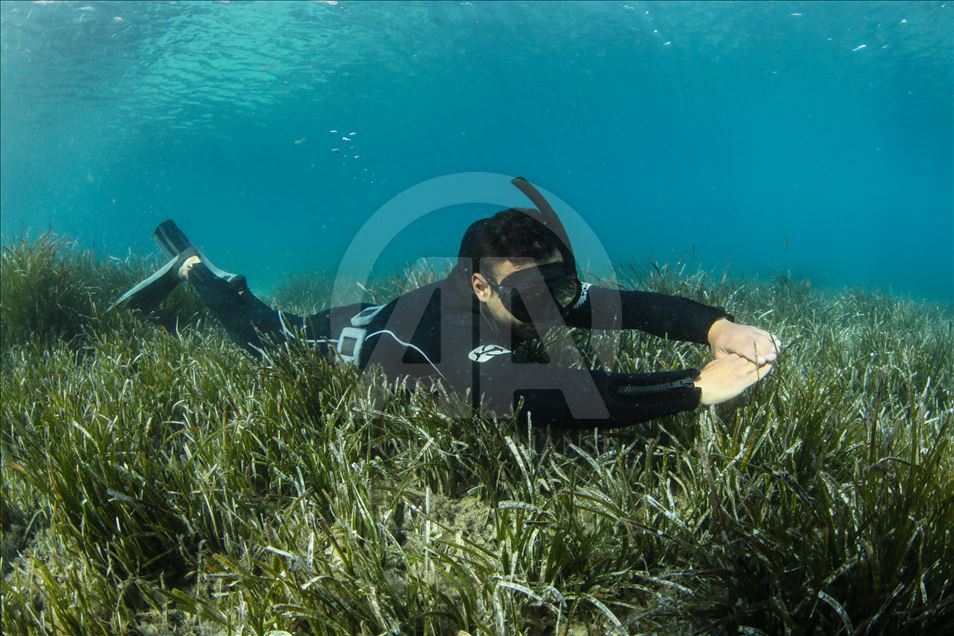 Diving in Turkey's Izmir