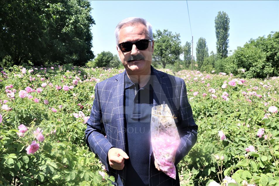 Isparta'nın "gül bahçeleri" rengarenk