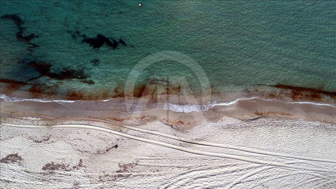 İğneada Longoz Ormanları'nda görsel şölen