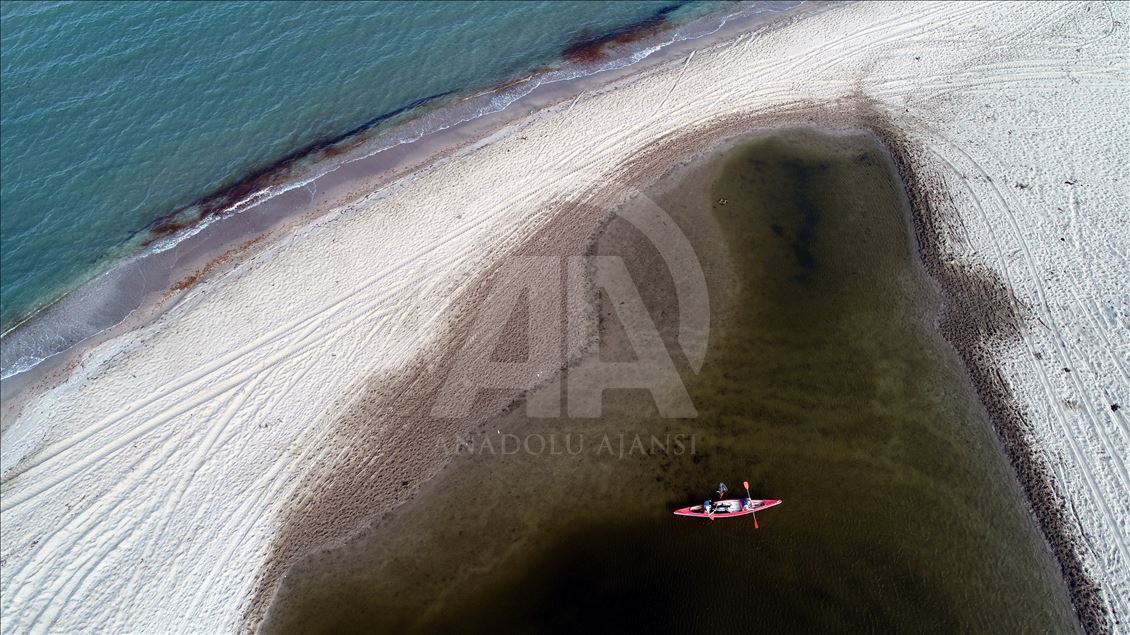 Igneada Floodplain Forests in Turkey's Kirklareli attract visitors