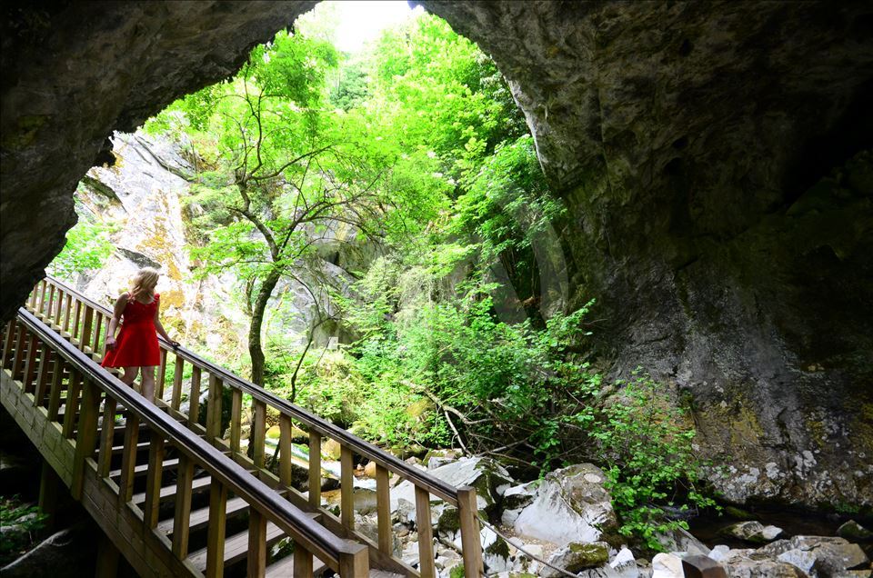 İğneada Longoz Ormanları'nda görsel şölen