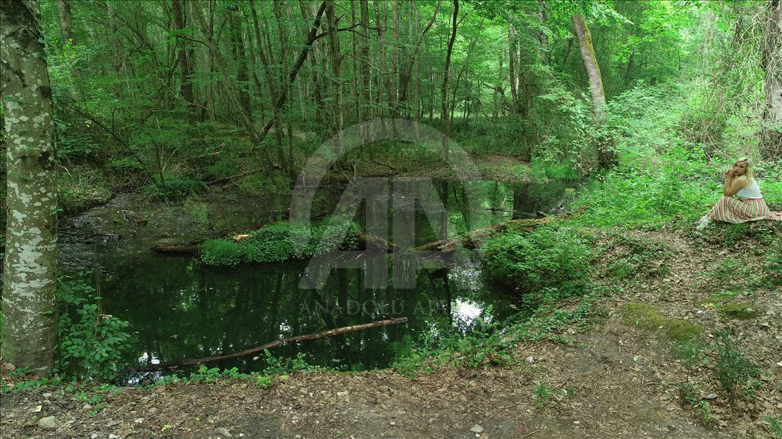 İğneada Longoz Ormanları'nda görsel şölen