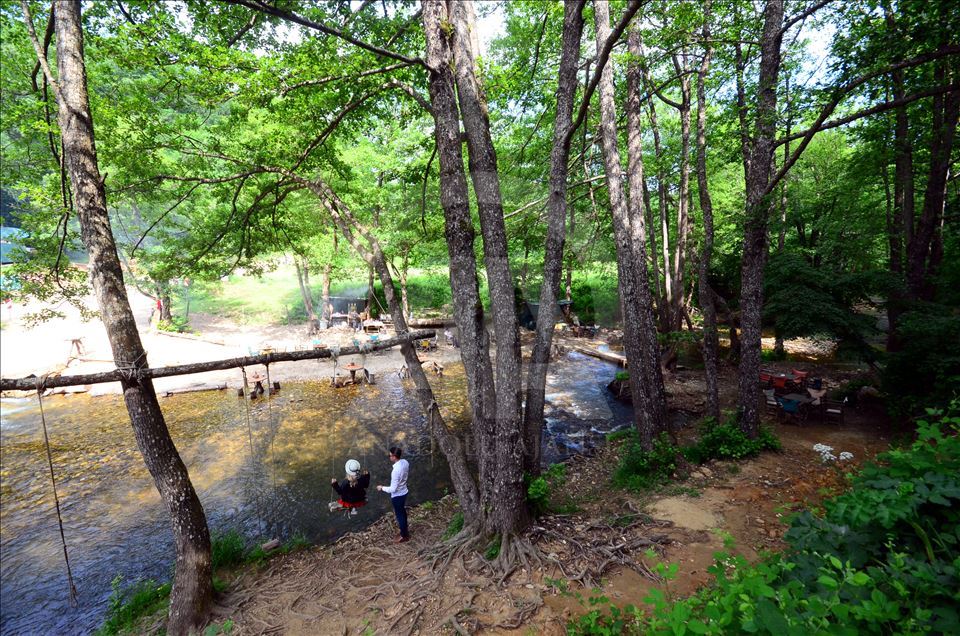 İğneada Longoz Ormanları'nda görsel şölen