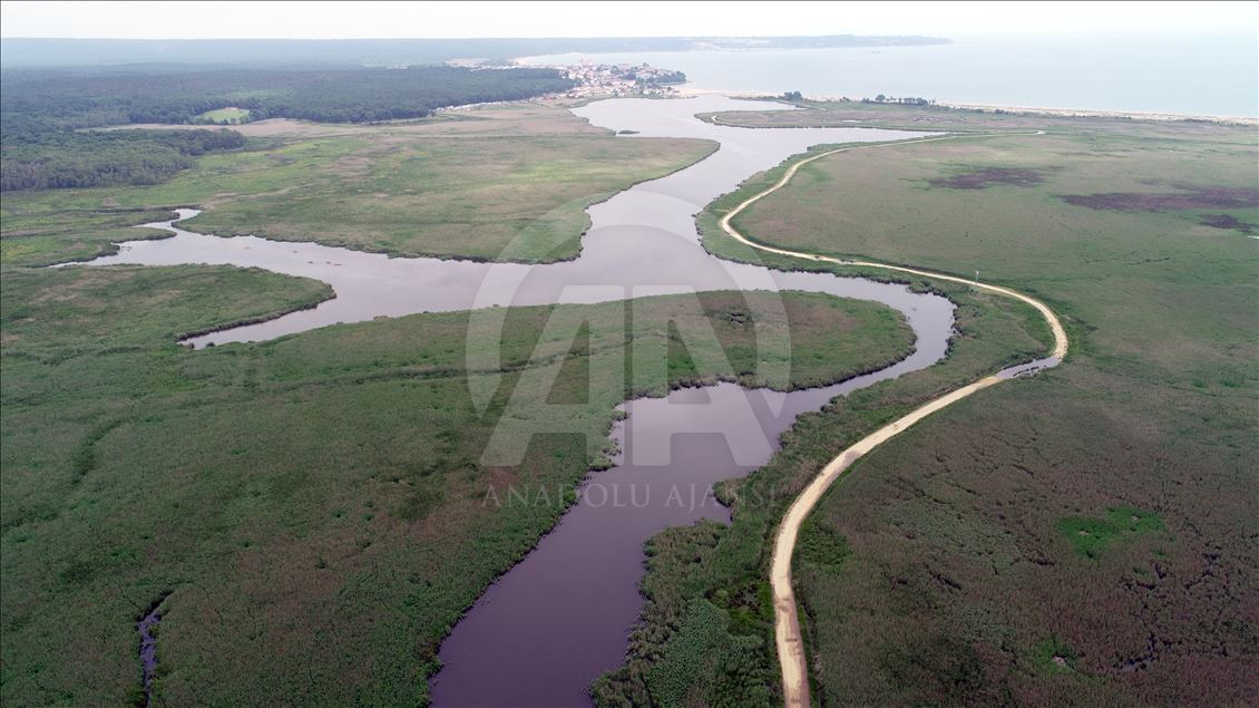 İğneada Longoz Ormanları'nda görsel şölen