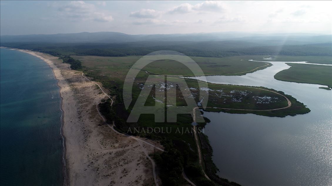 İğneada Longoz Ormanları'nda görsel şölen