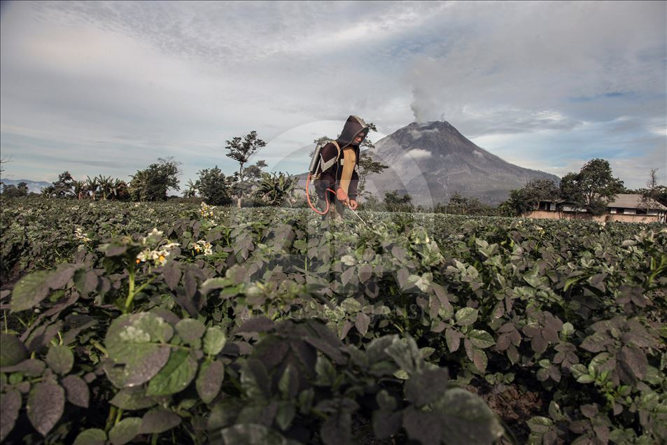 Kondisi wilayah Karo setelah erupsi Gunung Sinabung