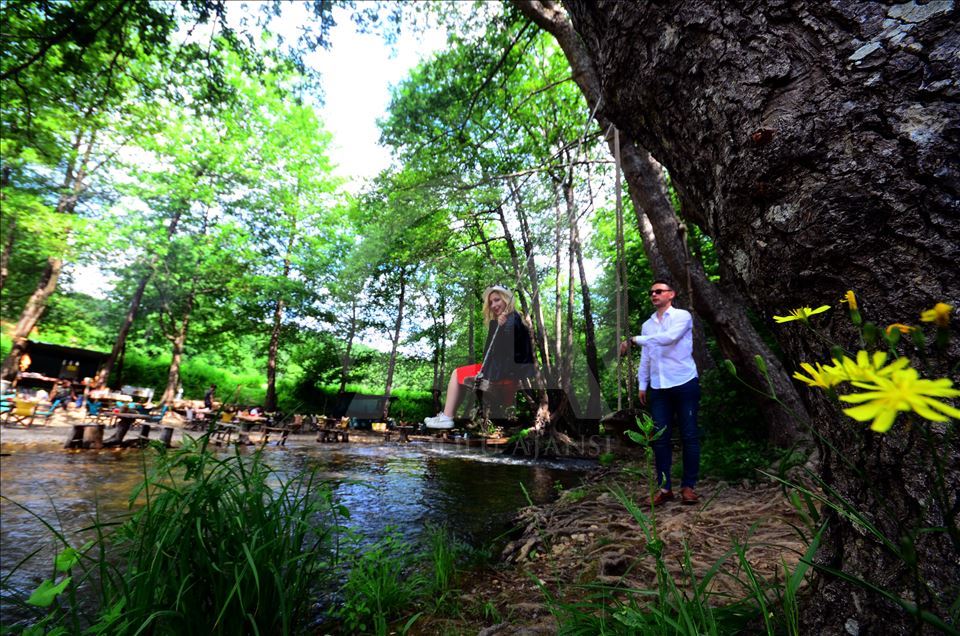 İğneada Longoz Ormanları'nda görsel şölen