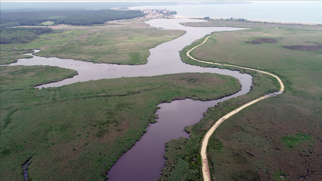 Igneada Floodplain Forests in Turkey's Kirklareli attract visitors