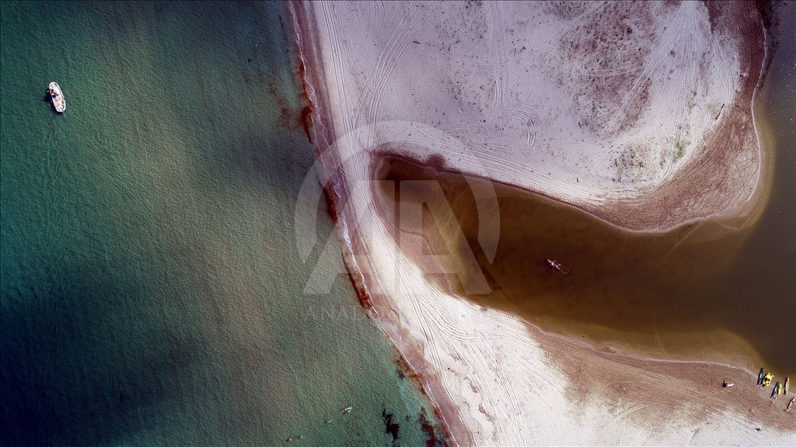 İğneada Longoz Ormanları'nda görsel şölen